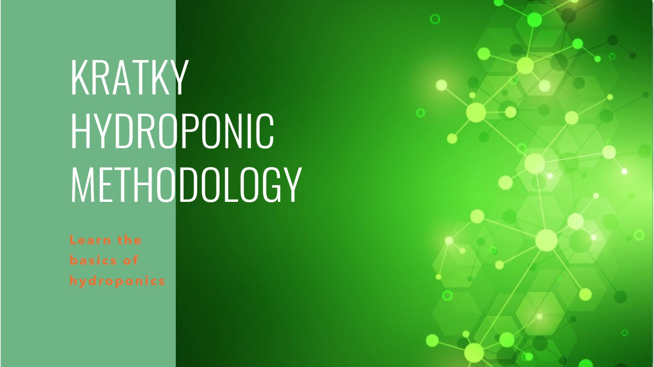 Kratky Hydroponic Methodology: An Innovative and Sustainable Approach to Plant Cultivation